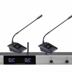 Micro cổ ngỗng không dây 2 mic Shupu HM-001/2