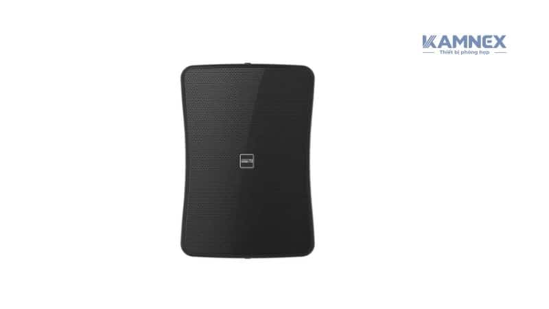 Loa treo tường Inter-M WS-50T