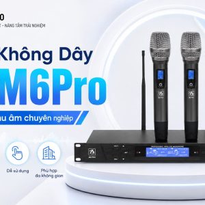 Micro Không Dây PS M6Pro