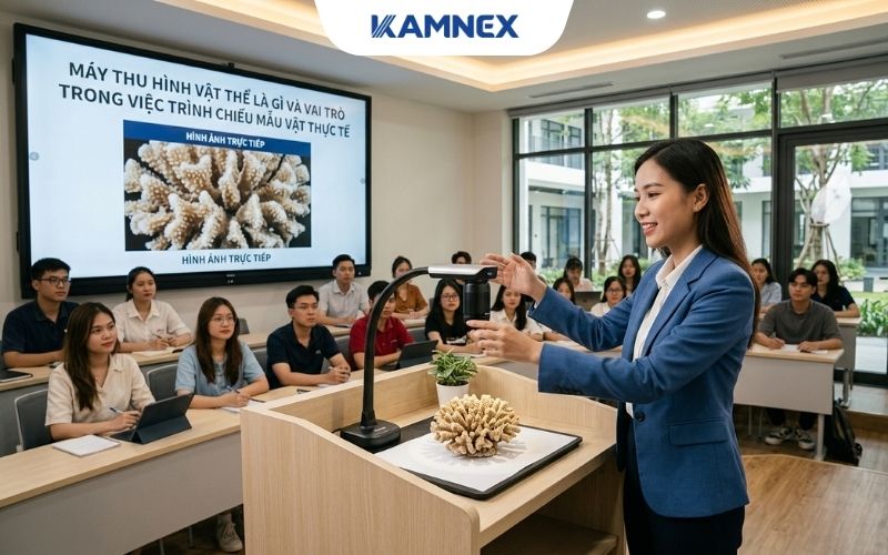 Máy thu hình vật thể là gì và vai trò trong việc trình chiếu mẫu vật thực tế