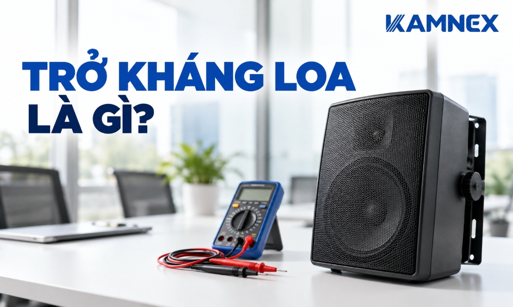 Trở kháng loa là gì