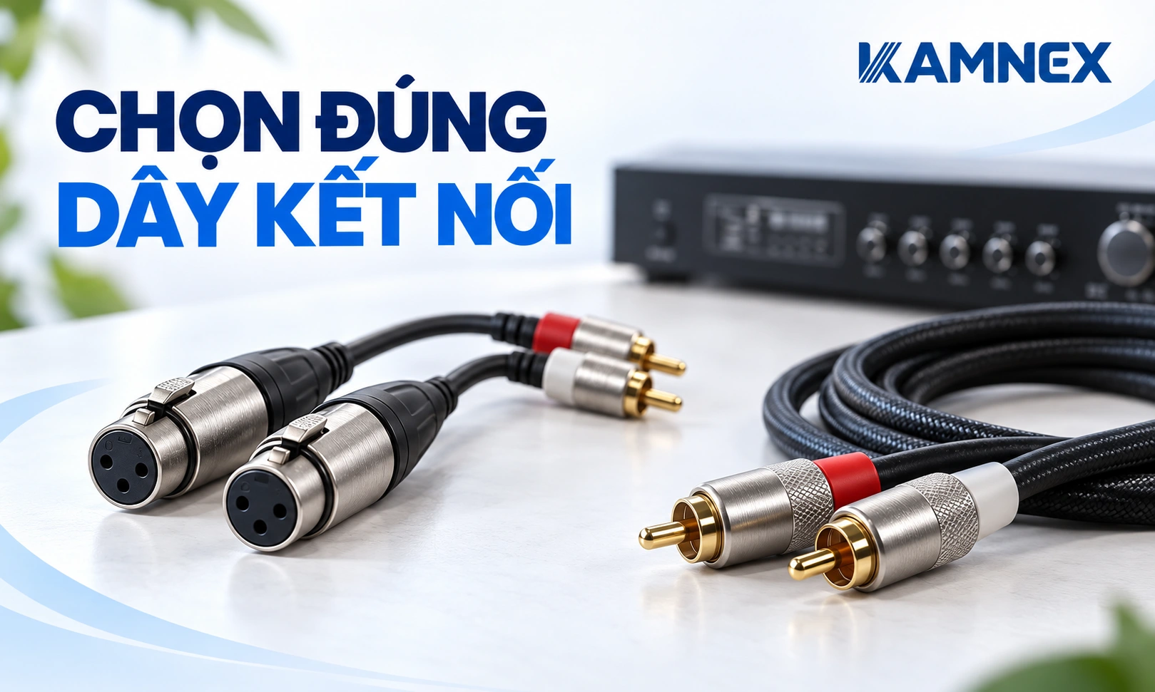 cách kết nối vang cơ với amply