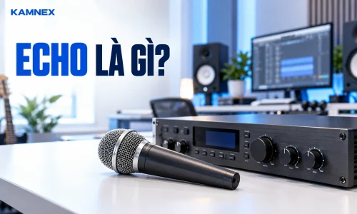 echo là gì