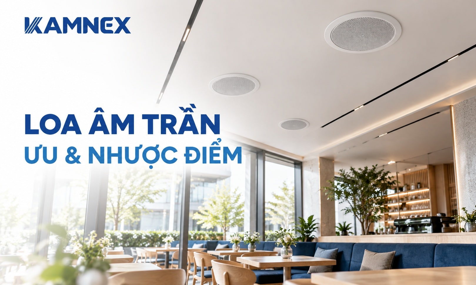 loa âm trần là gì