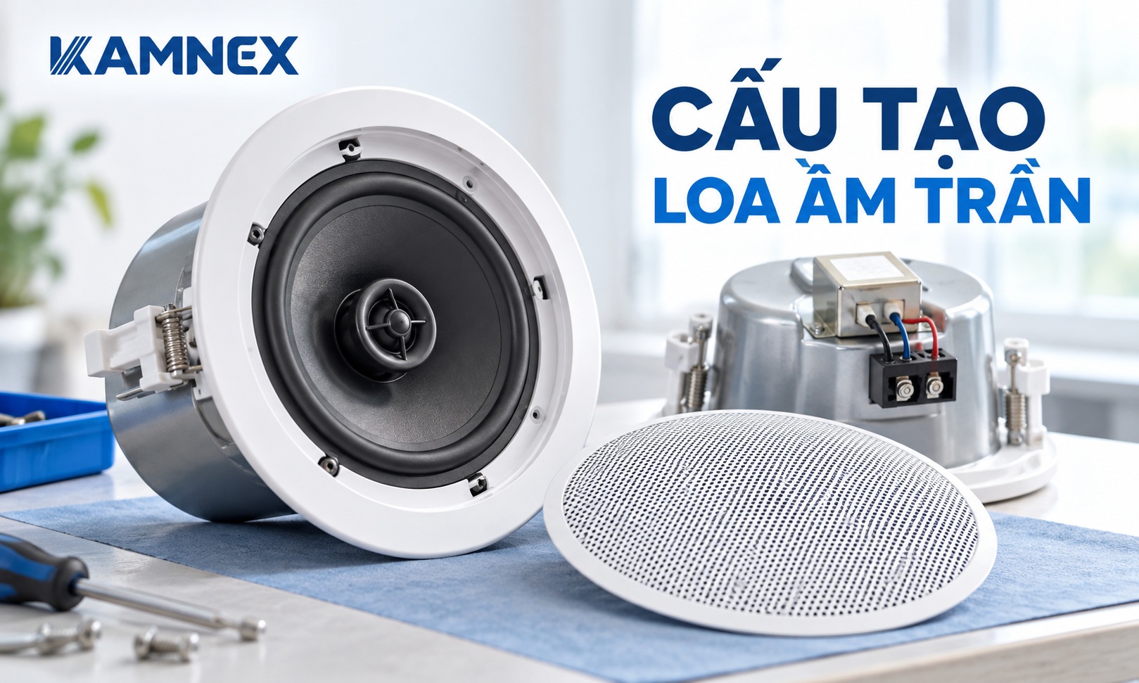 loa âm trần là gì