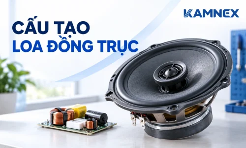 loa đồng trục là gì