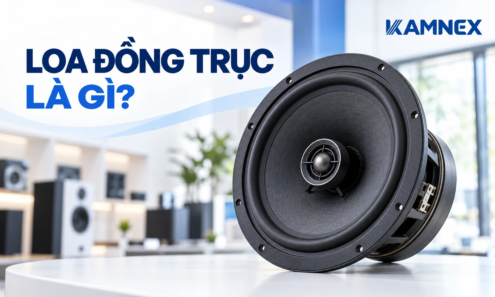 loa đồng trục là gì