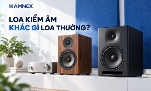 loa kiểm âm là gì