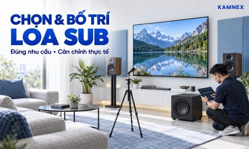 loa sub là gì