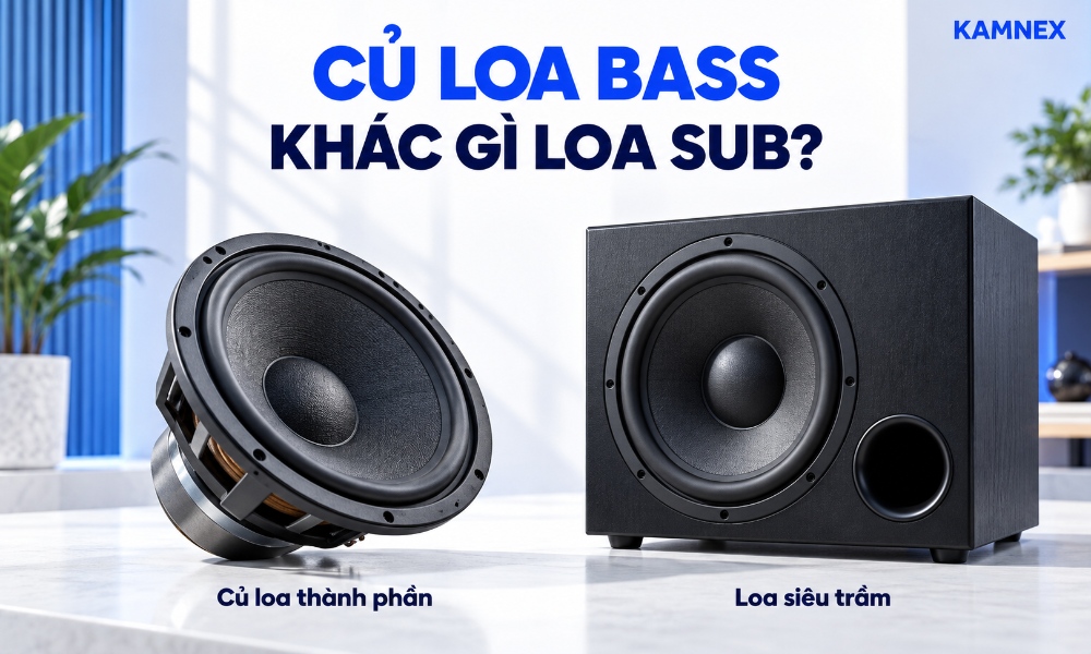 loa sub là gì