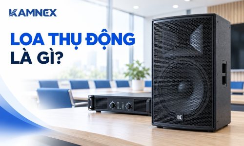 loa thụ động là gì