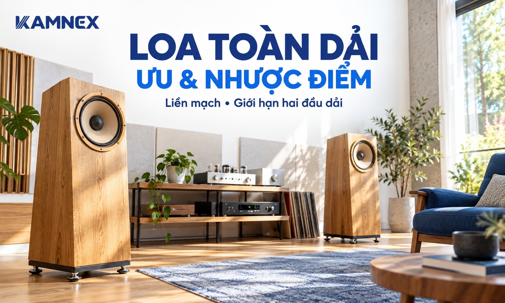 loa toàn dải là gì