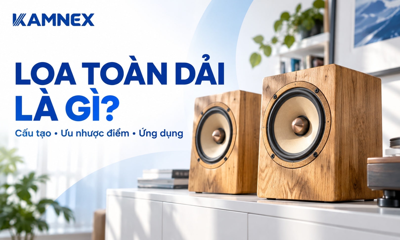 loa toàn dải là gì