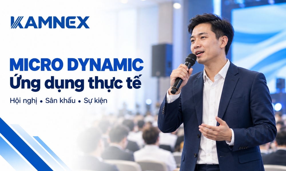 micro dynamic là gì