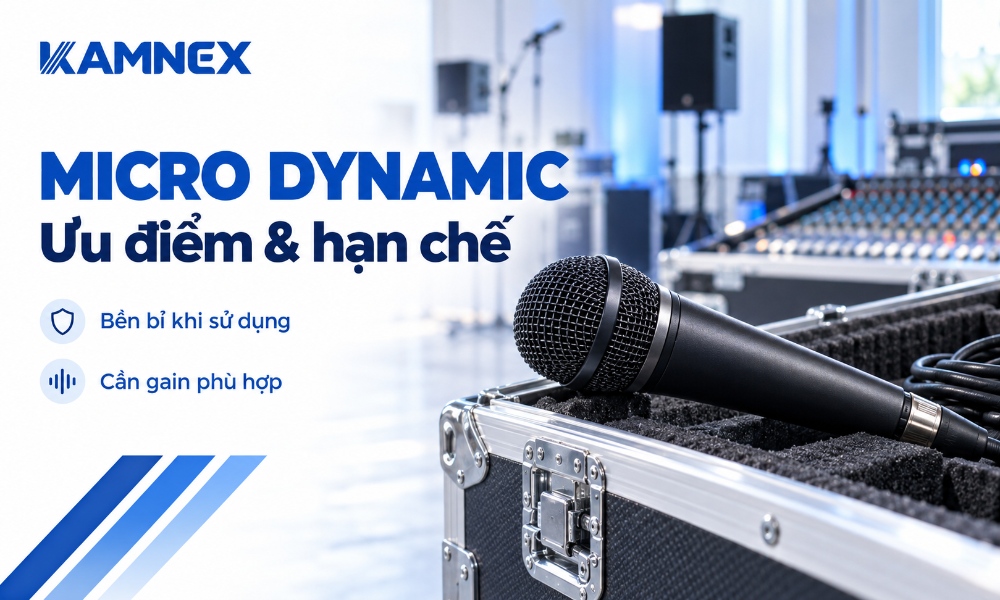 micro dynamic là gì
