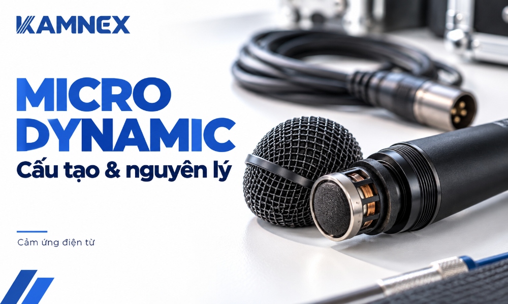 micro dynamic là gì