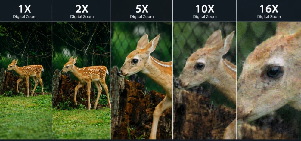 Zoom kỹ thuật số là gì