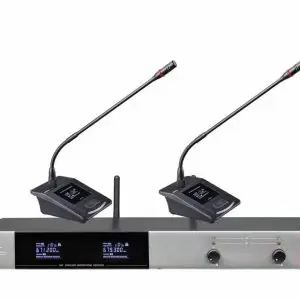 Micro cổ ngỗng không dây 2 mic Shupu HM-001/2