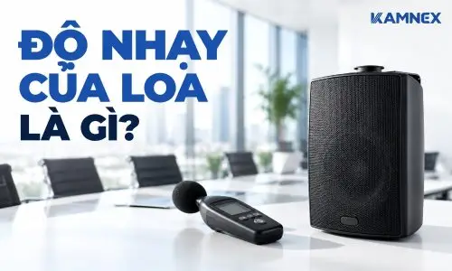 độ nhạy của loa là gì
